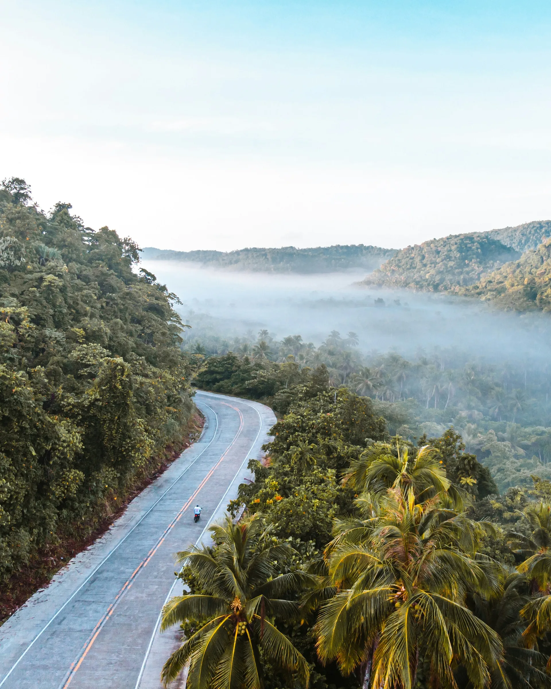 Morning mist settling over the jungle road at sunrise